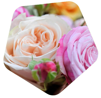 Заказ цветов в Казань